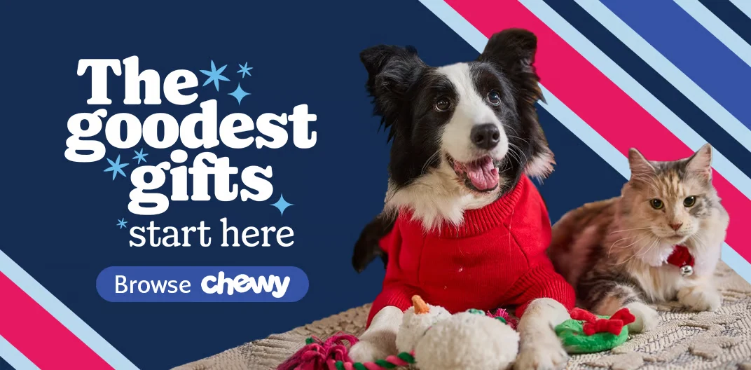 The goodest gifts start here: key visual with a dog in a red sweater and a cat, Browse Chewy button